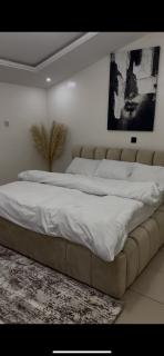 Cozy Modern 3 Bedroom Penthouse - Lekki - 6