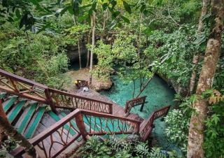 Home's Jungle - 2