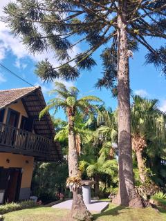 Chalé da Araucária - Rio dos Cedros - 4