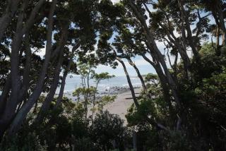 Bay View Terrace Studio 2 - 2