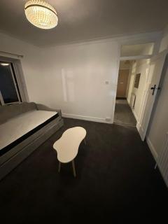 Wembley park stadium 2 bed room flat - 9