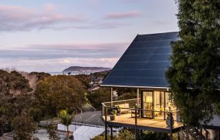 The Canopy - Albany - 0