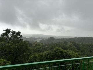 Forest Frame - Kudrat Nilaya Valley View with pool - 2