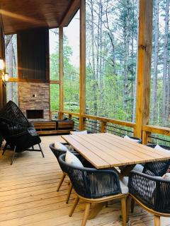 Lux Blue Ridge Cabin, Hot tub, Swing, PingPong! - 1