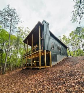 Lux Blue Ridge Cabin, Hot tub, Swing, PingPong! - 8