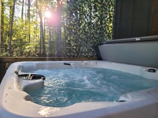 Lux Blue Ridge Cabin, Hot tub, Swing, PingPong! - 5