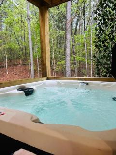 Lux Blue Ridge Cabin, Hot tub, Swing, PingPong! - 6