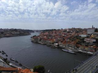 Historic Elegance in Central Porto - Porto - 0
