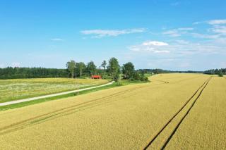 Vana-Piiri Puhkemaja - 6