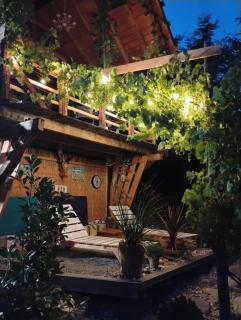 479 Tiny House, Domeniul von Agodt - Bradu - 9