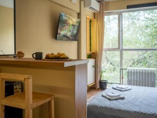 Dzen studio Botanical Garden - 5