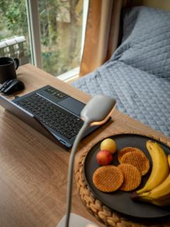 Dzen studio Botanical Garden - 2