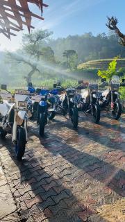 Ceylon shadow - Haputale - 6