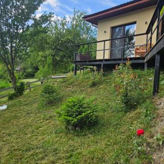 Forest House Doftana - Teşila - 3