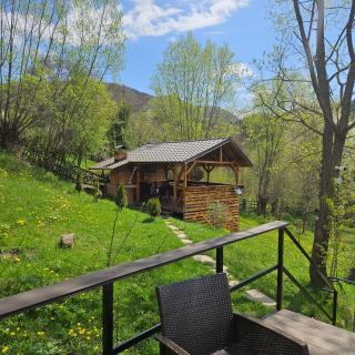 Forest House Doftana - 3
