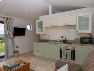 The Pennymoor - 1