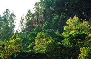 Crest Cold Homestay - Ella - 2