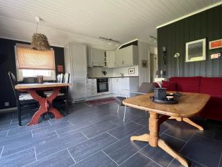 Revehiet - 3 bedroom cabin in the center of Geilo - 1