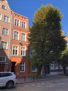 Przy krzywym drzewie - Old Town - 5