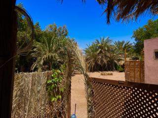 Little Oasis - 1