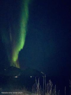 Stranda Apartment - 0