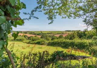 Little Mead - Littleham - 8