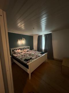 Little adorable red - Kiruna - 8