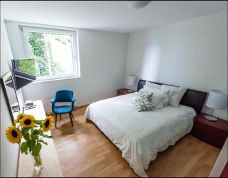 Montreux Stunning 2 Bedroom Apartment Lake Geneva - 4