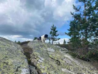 Blefjell hytte med fantastisk utsikt - Kongsberg - 6