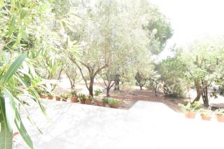 Casa Vacanze il Bouganville - Chia - 4
