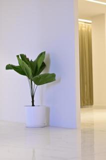 Hotel Shellmark - 4