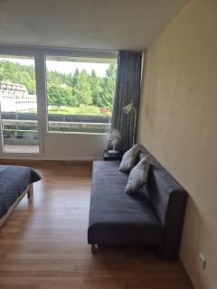 1-Zimmer-Apartment mit Balkon, kostenloser Schwimmbadnutzung und Blick ins Grüne - Sankt Englmar - 9