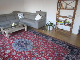 Ferienwohnung Kreuzbühl - Albstadt - 8