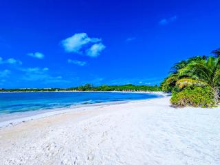 Over 1600 Five-Stars I 500m to Award Winning Beach l Memory Foam King Beds l Kitchen 3B4B - Playa del Carmen - 3
