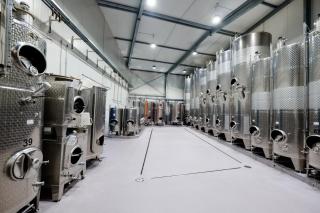 Weingut & Ferienwohnungen Müller-Kern - Neustadt an der Weinstraße - 1