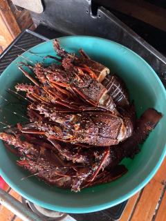 Linga Bay Retreat - Morrumbene - 2