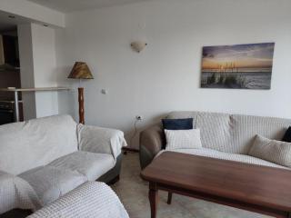 Peony Apartment - Bozhurets - 3