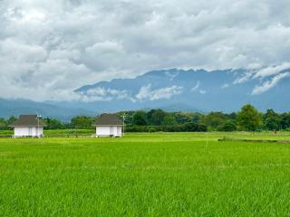 บ้านผ่อดอยกอยดาวพรีเมี่ยม - Ban Sop Nong - 8