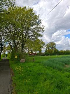 Ferienhof Schlottmann - Achtrup - 4