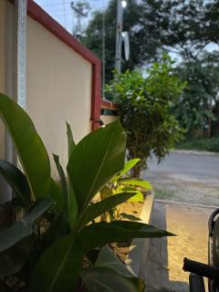 Rara Guest House Raja Ampat - 2