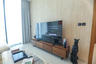 Super luxury 1BHK Bing Hatti Amber 921 - 3