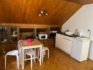 Vienna Touch Apartments Number 1 - Traiskirchen - 1