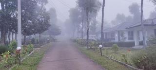 Mountain Hills - 1