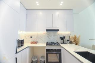 Super luxury 1BHK Bing Hatti Amber 921 - 1