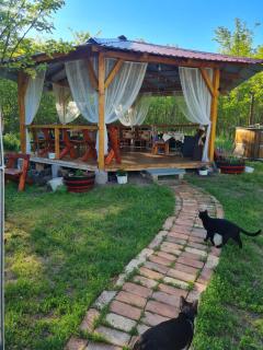 Tündértanya - 4