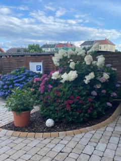 Ferienwohnung beethoven-12 - 2