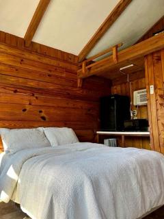 Vibrant Riverside Cabin Oasis Near Chipola River, Florida - - 7