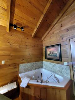 Cozy Riverside Cabin Retreat Near New River, Virginia - 8