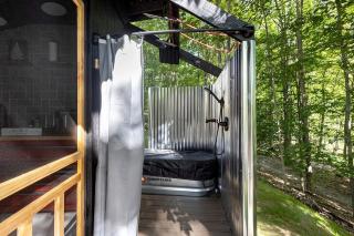 Secluded Modern Tiny House with Wood-Fired Hot Tub Near Trails in Sears, Michigan - - 2