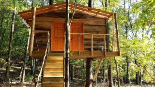 Radiant Forest Vacation Rental Haven Near Piney River, Tennessee - - 0